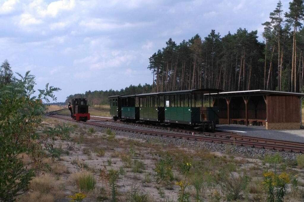 Rietschen, Natur Erleben エクステリア 写真