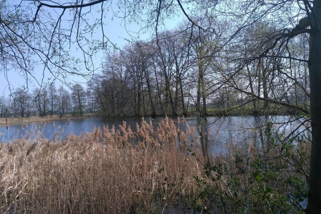 Rietschen, Natur Erleben エクステリア 写真